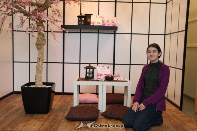 Uczniowie III LO w FINLANDII  - zdjęcie #4 - eOstroleka.pl