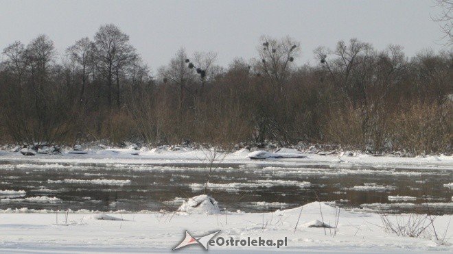 Narew (23.02.2011) - zdjęcie #4 - eOstroleka.pl