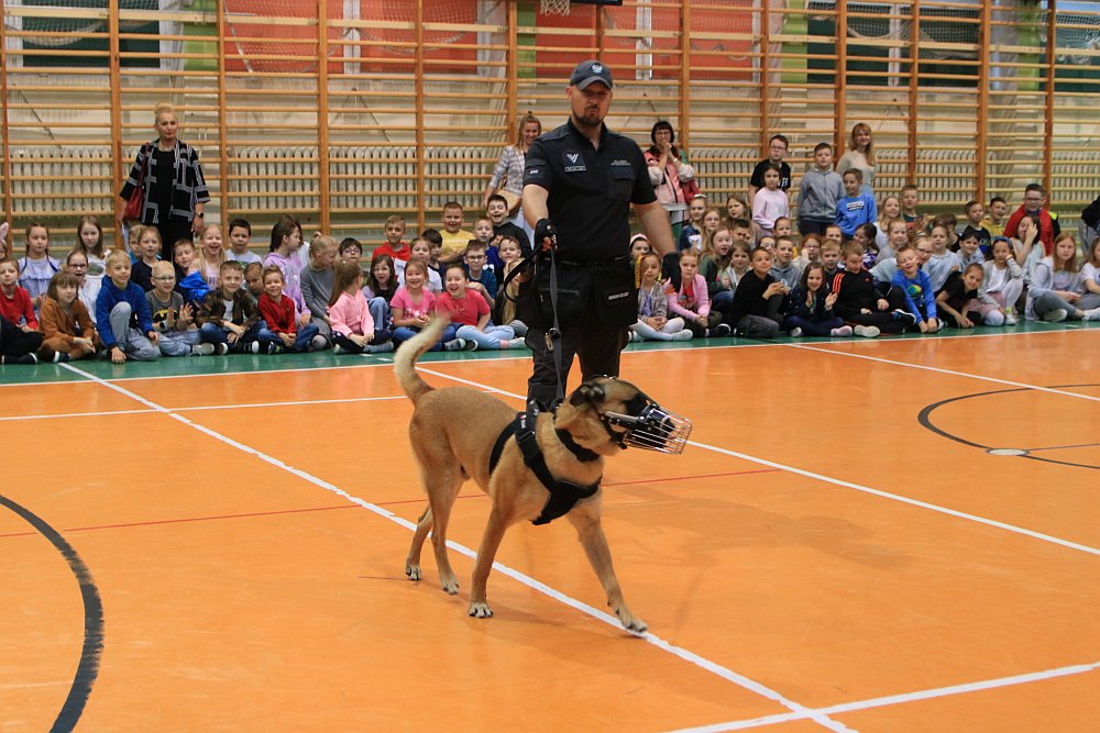 Dzień Dziecka w Szkole Podstawowej nr 5 [01.06.2022] - zdjęcie #106 - eOstroleka.pl