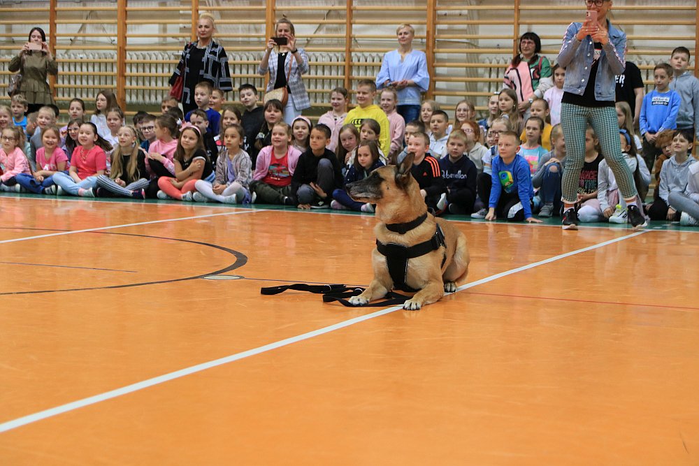 Dzień Dziecka w Szkole Podstawowej nr 5 [01.06.2022] - zdjęcie #101 - eOstroleka.pl