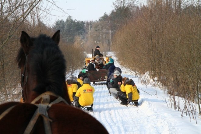 ferie z miastem: kulig - zdjęcie #3 - eOstroleka.pl
