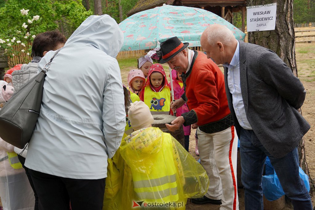 21. Warsztaty etnograficzne Ginące Zawody [1.06.2022] - zdjęcie #56 - eOstroleka.pl