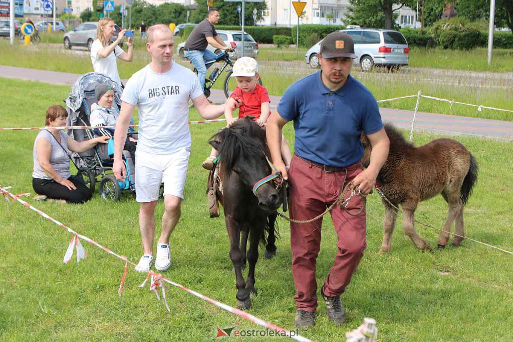 Bursztynowo-wojskowy Dzień Dziecka w Ostrołęce [04.06.2022] - zdjęcie #236 - eOstroleka.pl