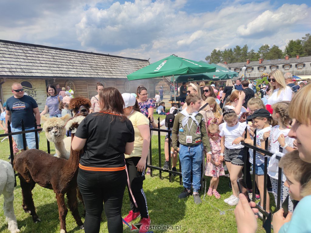 Diecezjalny Dzień Dziecka w Kurpiowskiej Krainie [05.06.2022] - zdjęcie #18 - eOstroleka.pl