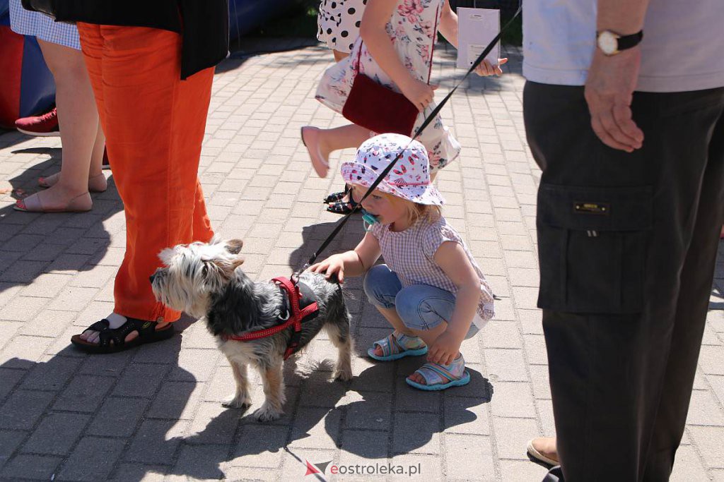 I Ostrołęcka Seniorada [05.06.2022] - zdjęcie #118 - eOstroleka.pl