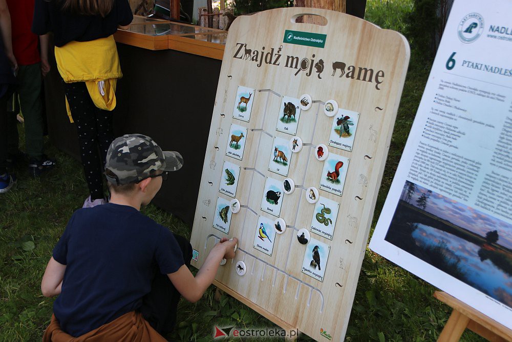 Akcja Na wakacje wyjeżdżamy, bezpiecznie wracamy w Kultowni [07.06.2022] - zdjęcie #44 - eOstroleka.pl