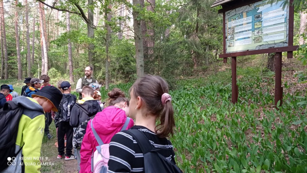 Uczniowie Szkoły Podstawowej nr 4 na lekcji przyrody w lesie - zdjęcie #2 - eOstroleka.pl