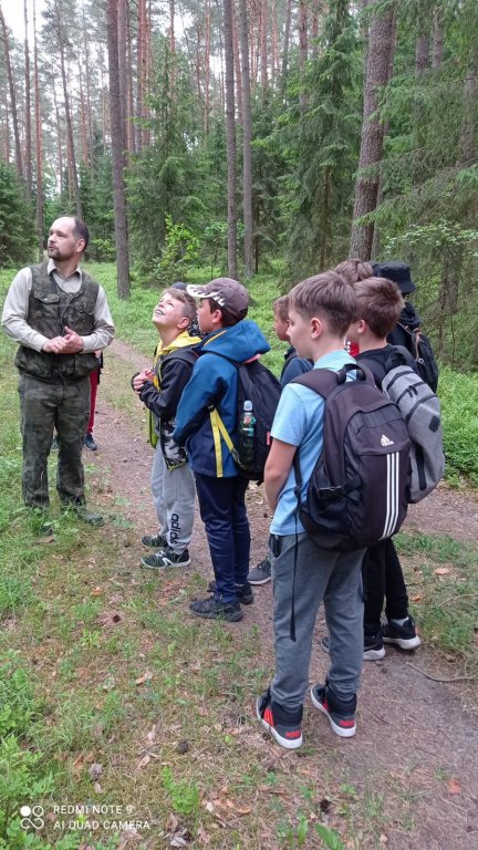 Uczniowie Szkoły Podstawowej nr 4 na lekcji przyrody w lesie - zdjęcie #4 - eOstroleka.pl