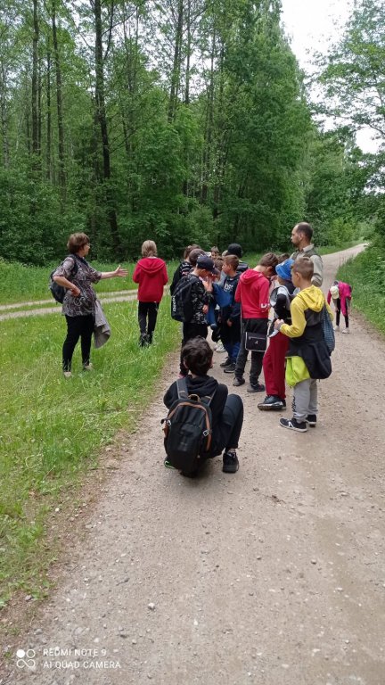 Uczniowie Szkoły Podstawowej nr 4 na lekcji przyrody w lesie - zdjęcie #9 - eOstroleka.pl