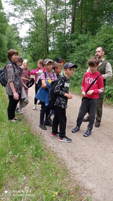 Uczniowie Szkoły Podstawowej nr 4 na lekcji przyrody w lesie - zdjęcie #12 - eOstroleka.pl