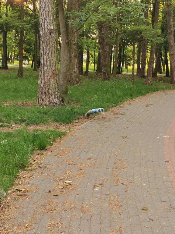 “Kikuty” po latarniach i skorodowana skrzynka elektryczna szpecą i straszą w parku miejskim - zdjęcie #6 - eOstroleka.pl
