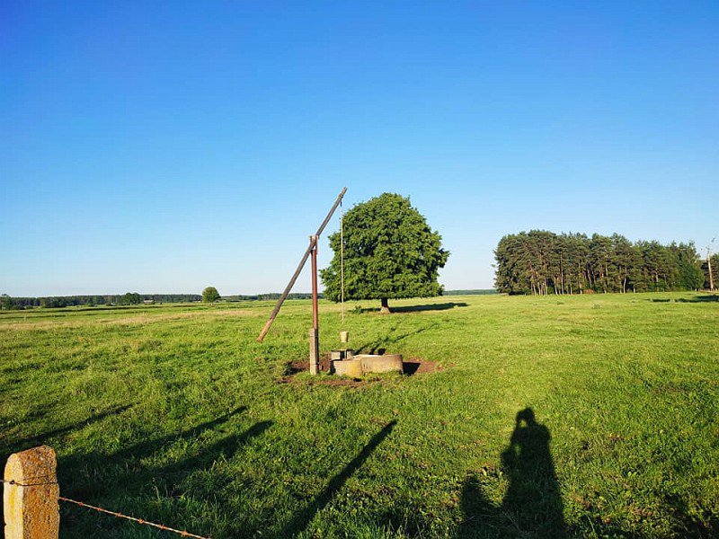 Wianki z Tatarów popłynęły Rozogą [29.06.2022] - zdjęcie #28 - eOstroleka.pl