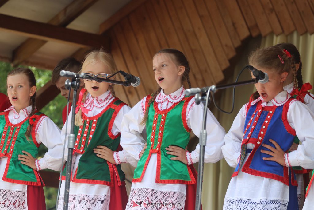 Święto Folkloru Kurpiowskiego w Brodowych Łąkach [10.07.2022] - zdjęcie #30 - eOstroleka.pl