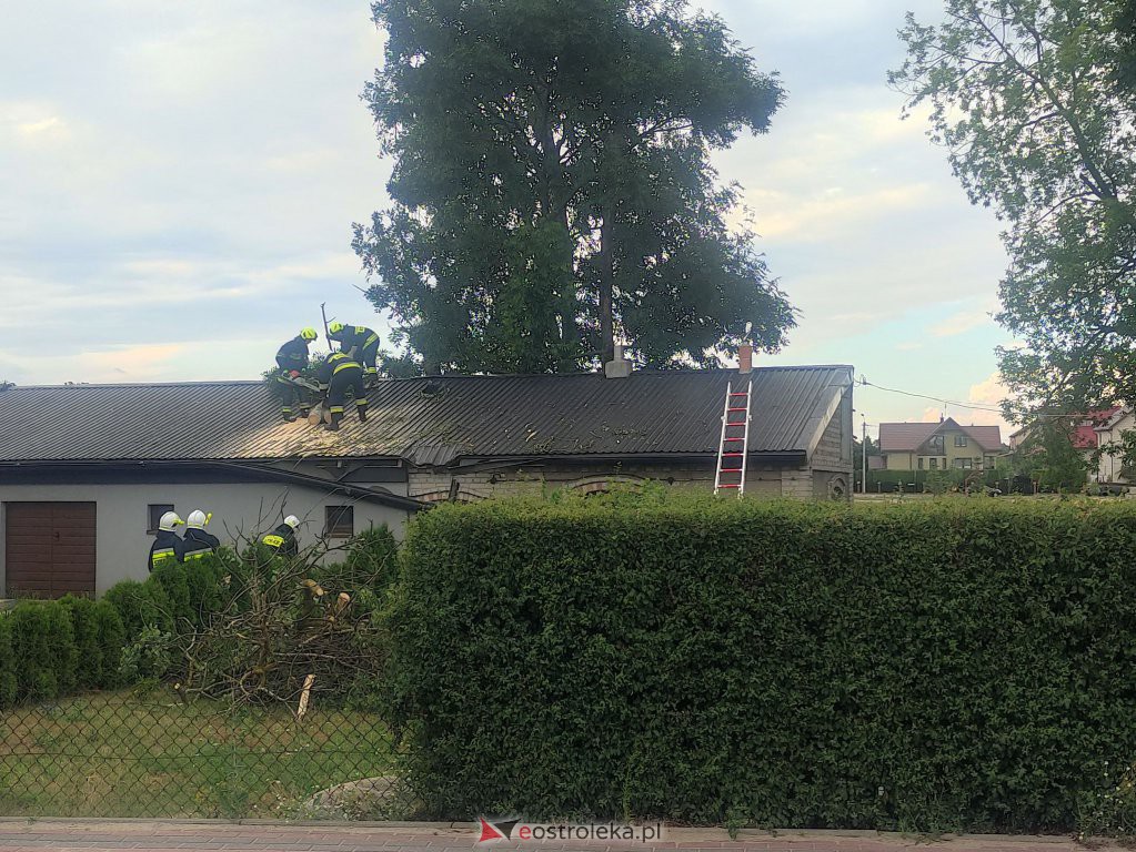Olszewo-Borki: Strażacy usuwali konar leżący na dachu budynku gospodarczego [14.07.2022] - zdjęcie #5 - eOstroleka.pl