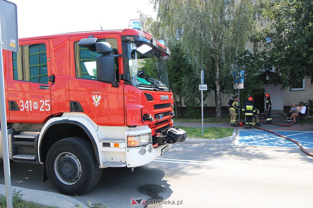 Pożar w bloku przy Blachnickiego. Strażacy reanimowali psa [21.07.2022] - zdjęcie #7 - eOstroleka.pl
