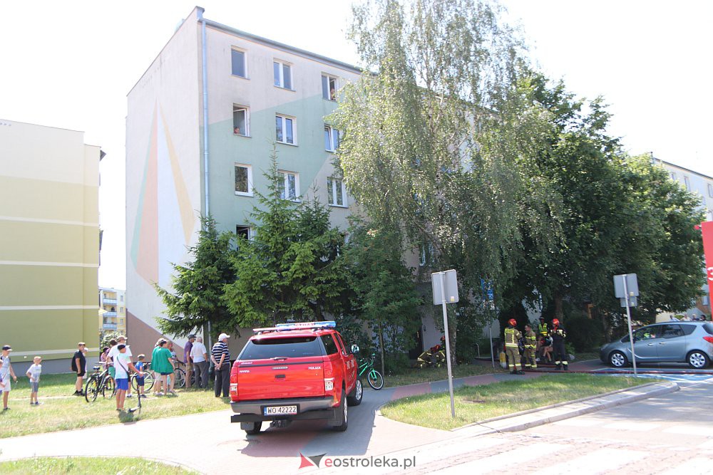 Pożar w bloku przy Blachnickiego. Strażacy reanimowali psa [21.07.2022] - zdjęcie #19 - eOstroleka.pl