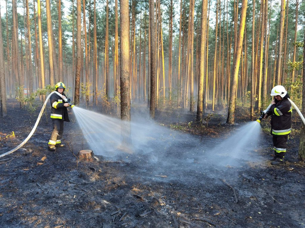 Pożar lasu w Cuplu, gm. Czarnia [22.07.2022] - zdjęcie #7 - eOstroleka.pl