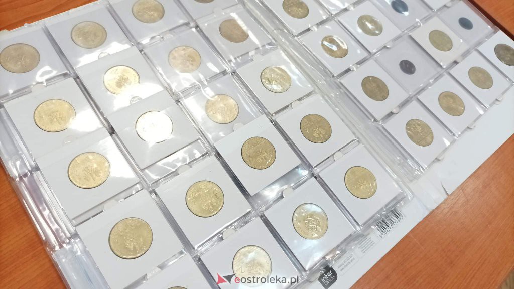Wakacyjna giełda kolekcjonerska z klubem Unikat [07.08.2022] - zdjęcie #29 - eOstroleka.pl