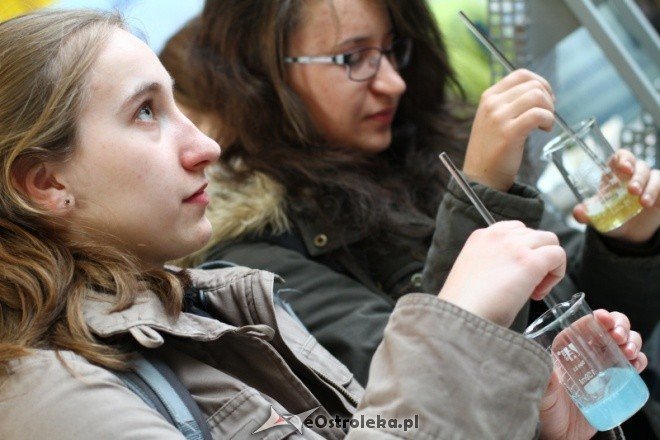 V targi Edukacji i pracy - zdjęcie #47 - eOstroleka.pl