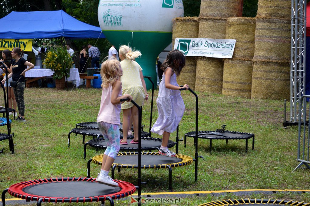 Świnia kontra dzik! Dożynkowa zabawa w Przytułach Starych [14.08.2022] - zdjęcie #16 - eOstroleka.pl