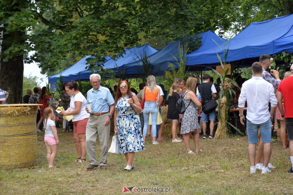 Świnia kontra dzik! Dożynkowa zabawa w Przytułach Starych [14.08.2022] - zdjęcie #29 - eOstroleka.pl