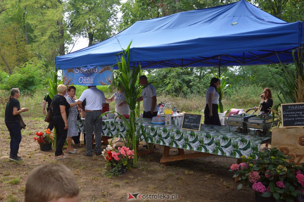 Świnia kontra dzik! Dożynkowa zabawa w Przytułach Starych [14.08.2022] - zdjęcie #2 - eOstroleka.pl