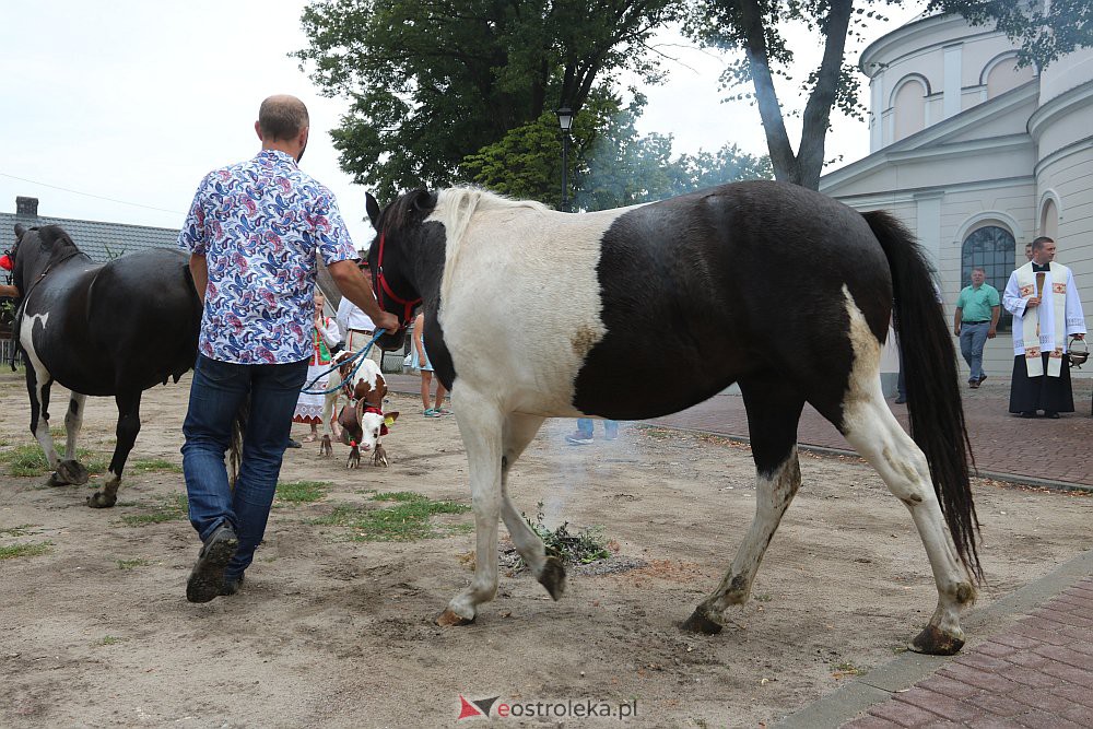 Odpust św. Rocha i święcenie zwierząt w Kadzidle [16.08.2022] - zdjęcie #121 - eOstroleka.pl