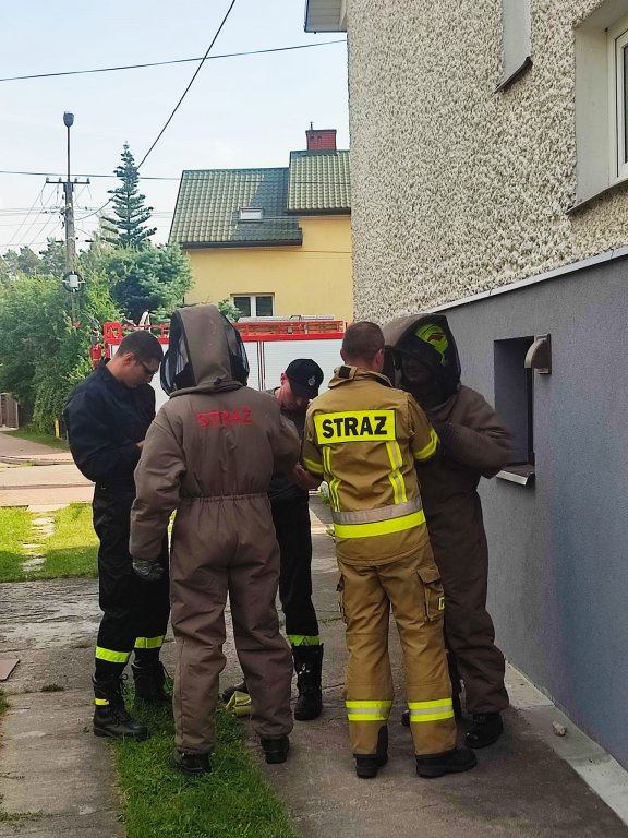 Szerszenie uwiły gniazdo pod dachem zamieszkałego domu. W akcji strażacy ochotnicy z Kadzidła [19.08.2022] - zdjęcie #1 - eOstroleka.pl
