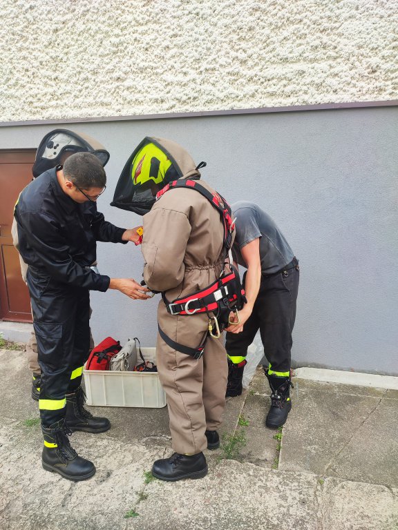 Szerszenie uwiły gniazdo pod dachem zamieszkałego domu. W akcji strażacy ochotnicy z Kadzidła [19.08.2022] - zdjęcie #5 - eOstroleka.pl