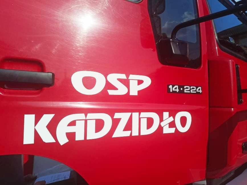 Szerszenie uwiły gniazdo pod dachem zamieszkałego domu. W akcji strażacy ochotnicy z Kadzidła [19.08.2022] - zdjęcie #4 - eOstroleka.pl