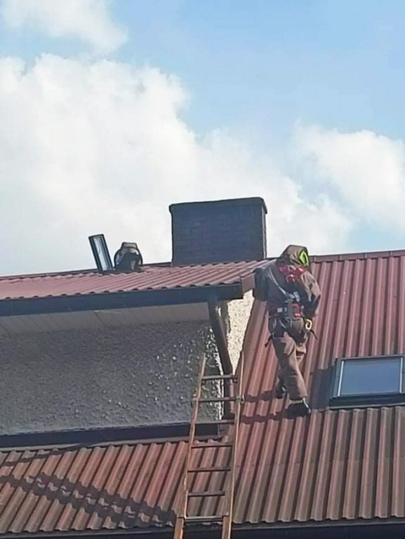 Szerszenie uwiły gniazdo pod dachem zamieszkałego domu. W akcji strażacy ochotnicy z Kadzidła [19.08.2022] - zdjęcie #8 - eOstroleka.pl