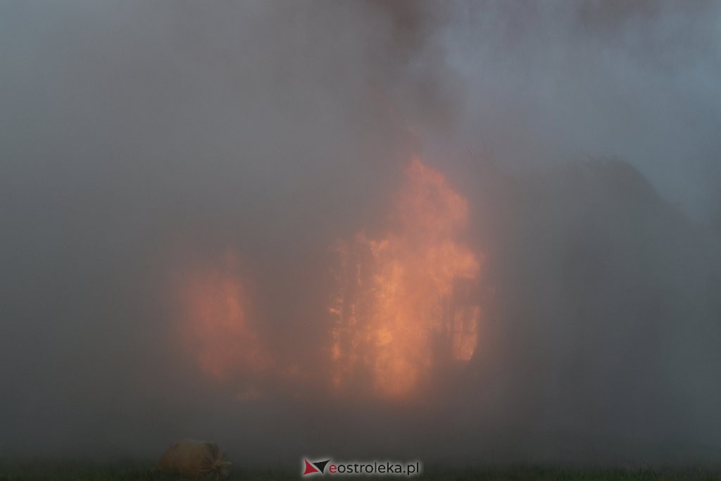 Piknik militarny w Rzekuniu [20.08.2022] - zdjęcie #126 - eOstroleka.pl