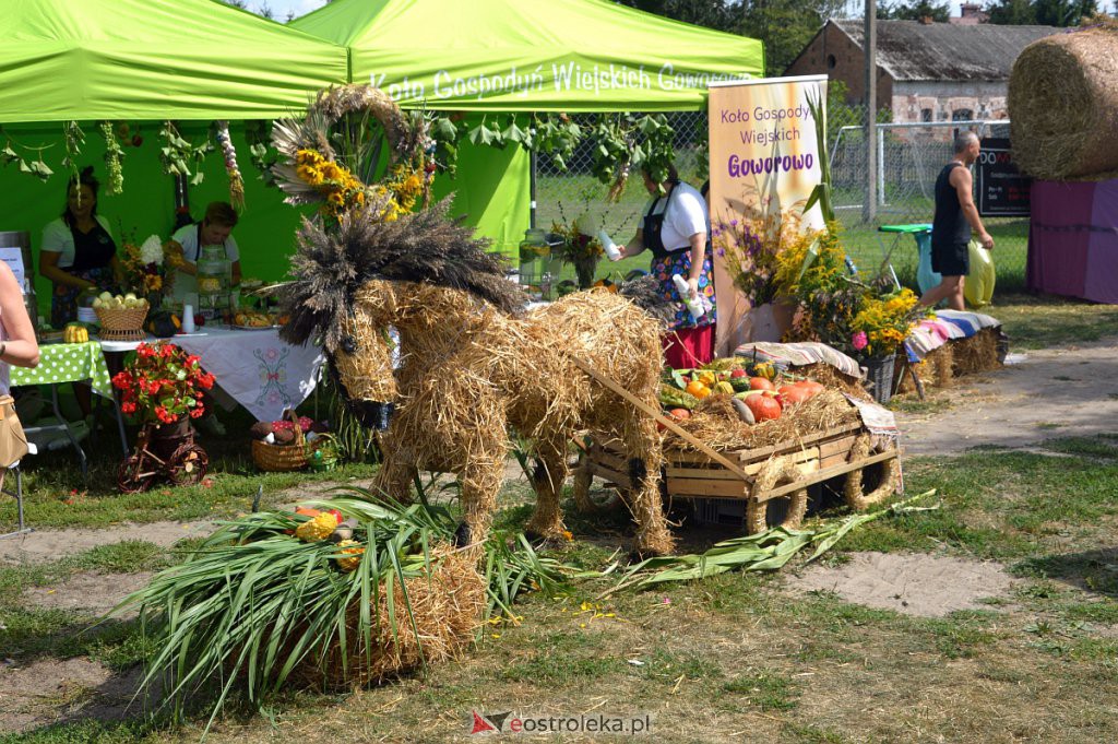 Dożynki w Goworowie [21.08.2022] - zdjęcie #237 - eOstroleka.pl
