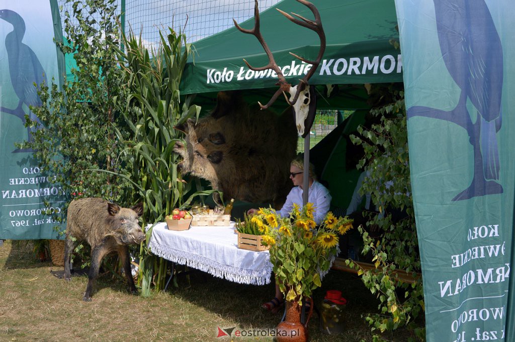 Dożynki w Goworowie [21.08.2022] - zdjęcie #221 - eOstroleka.pl