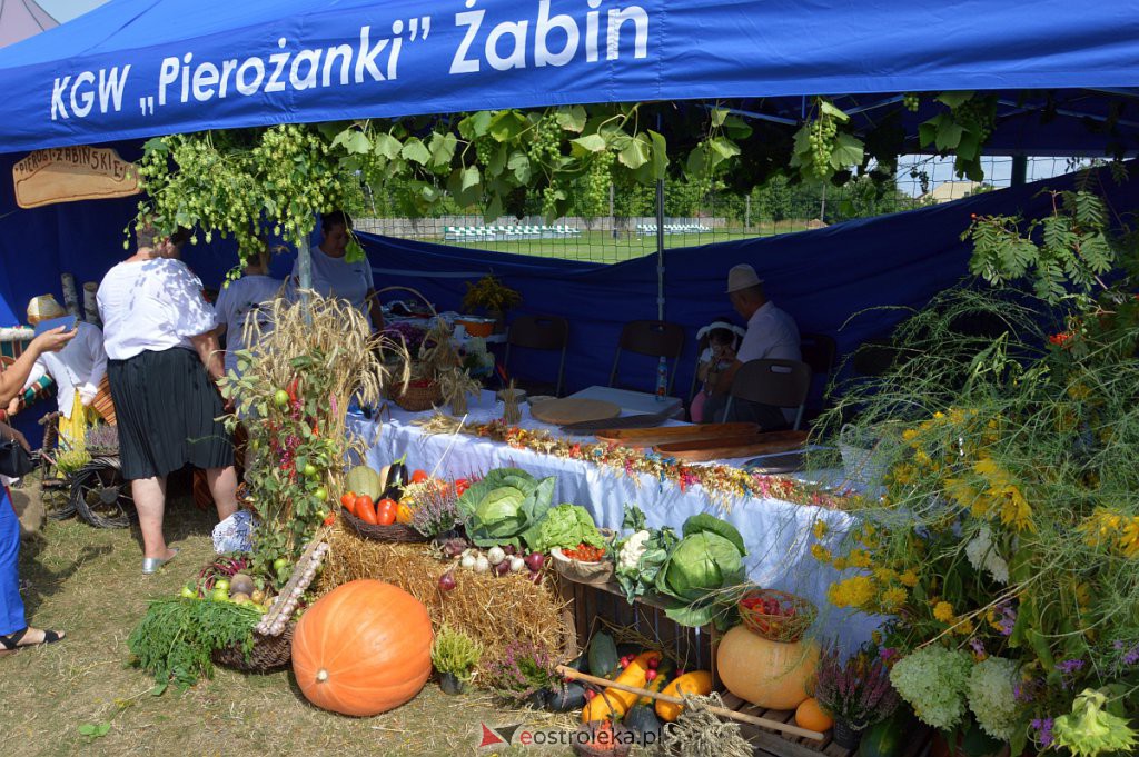 Dożynki w Goworowie [21.08.2022] - zdjęcie #211 - eOstroleka.pl