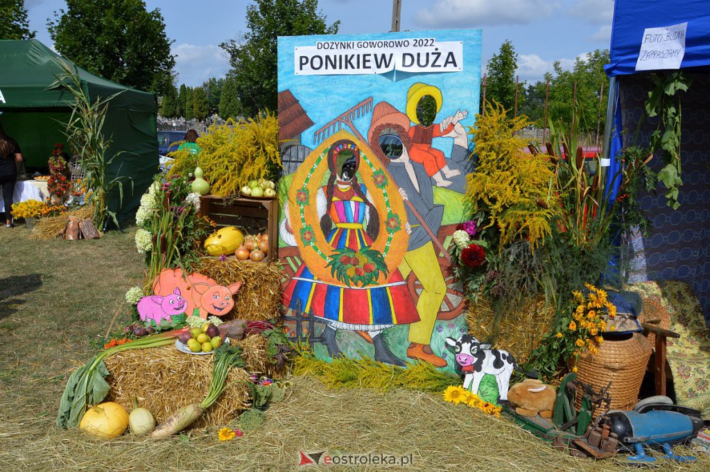 Dożynki w Goworowie [21.08.2022] - zdjęcie #205 - eOstroleka.pl