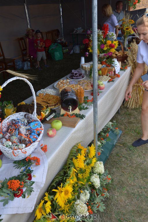 Dożynki w Goworowie [21.08.2022] - zdjęcie #179 - eOstroleka.pl