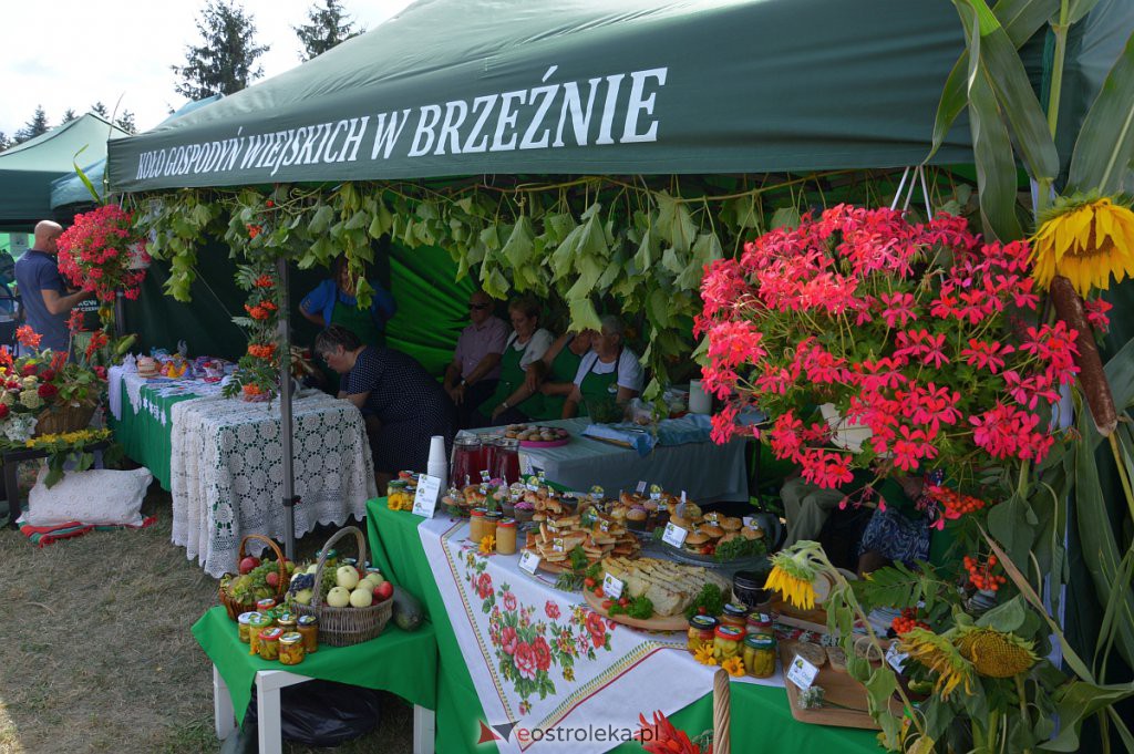 Dożynki w Goworowie [21.08.2022] - zdjęcie #175 - eOstroleka.pl