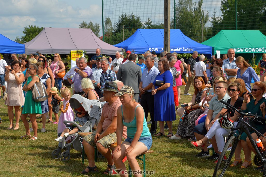 Dożynki w Goworowie [21.08.2022] - zdjęcie #246 - eOstroleka.pl