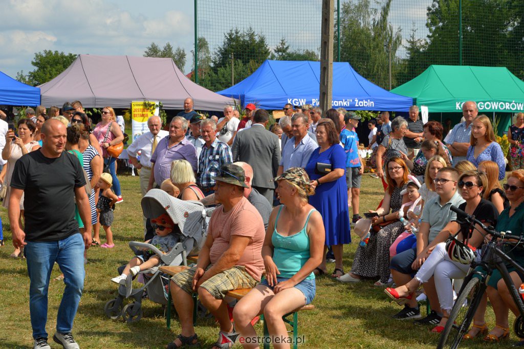 Dożynki w Goworowie [21.08.2022] - zdjęcie #244 - eOstroleka.pl