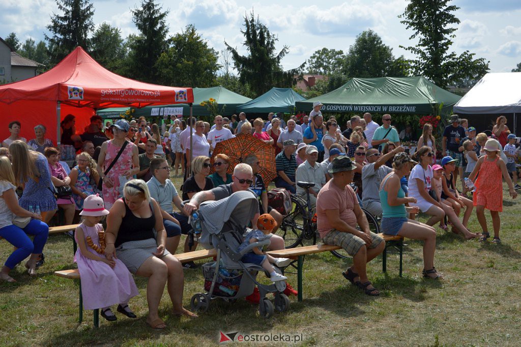 Dożynki w Goworowie [21.08.2022] - zdjęcie #222 - eOstroleka.pl