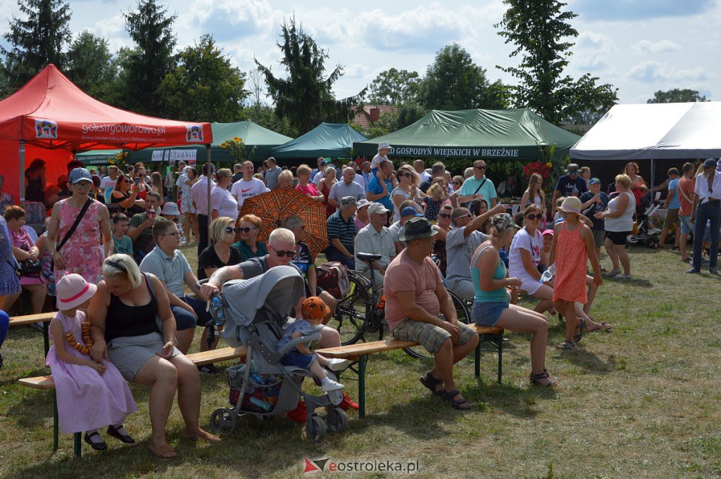 Dożynki w Goworowie [21.08.2022] - zdjęcie #220 - eOstroleka.pl