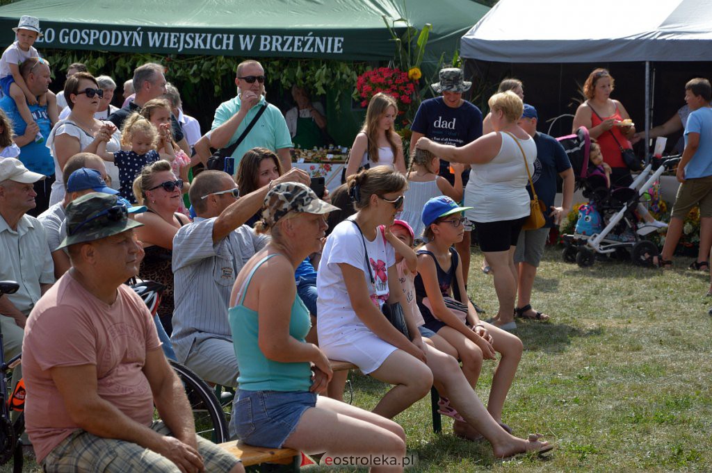 Dożynki w Goworowie [21.08.2022] - zdjęcie #218 - eOstroleka.pl
