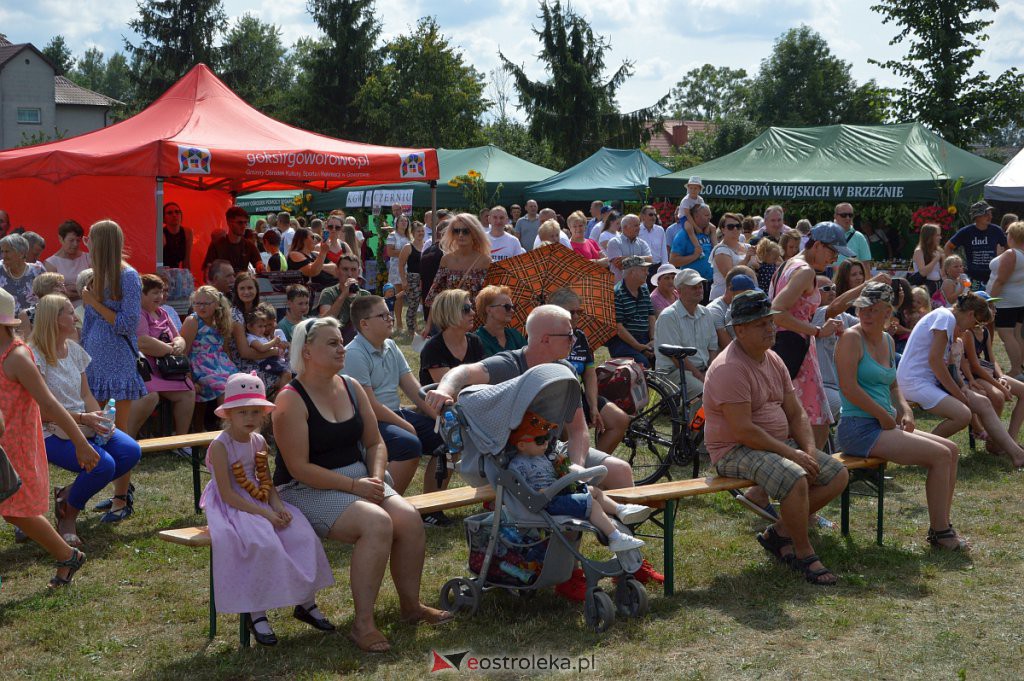 Dożynki w Goworowie [21.08.2022] - zdjęcie #216 - eOstroleka.pl