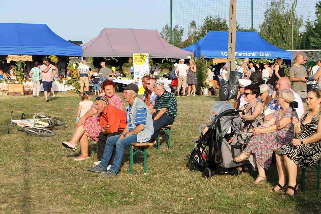 Dożynki w Goworowie [21.08.2022] - zdjęcie #32 - eOstroleka.pl