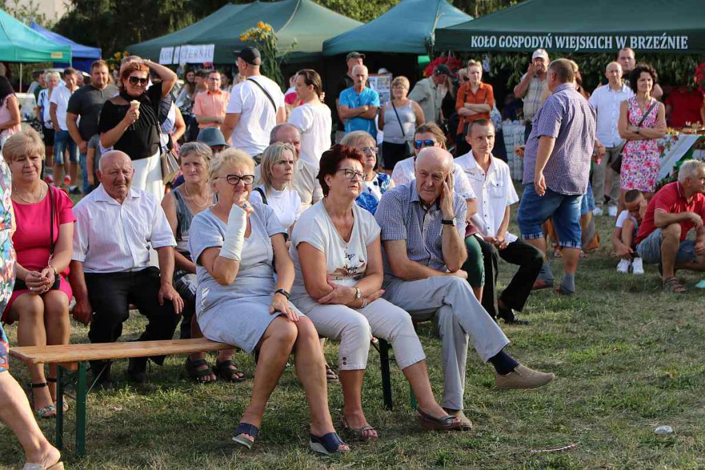 Dożynki w Goworowie [21.08.2022] - zdjęcie #18 - eOstroleka.pl