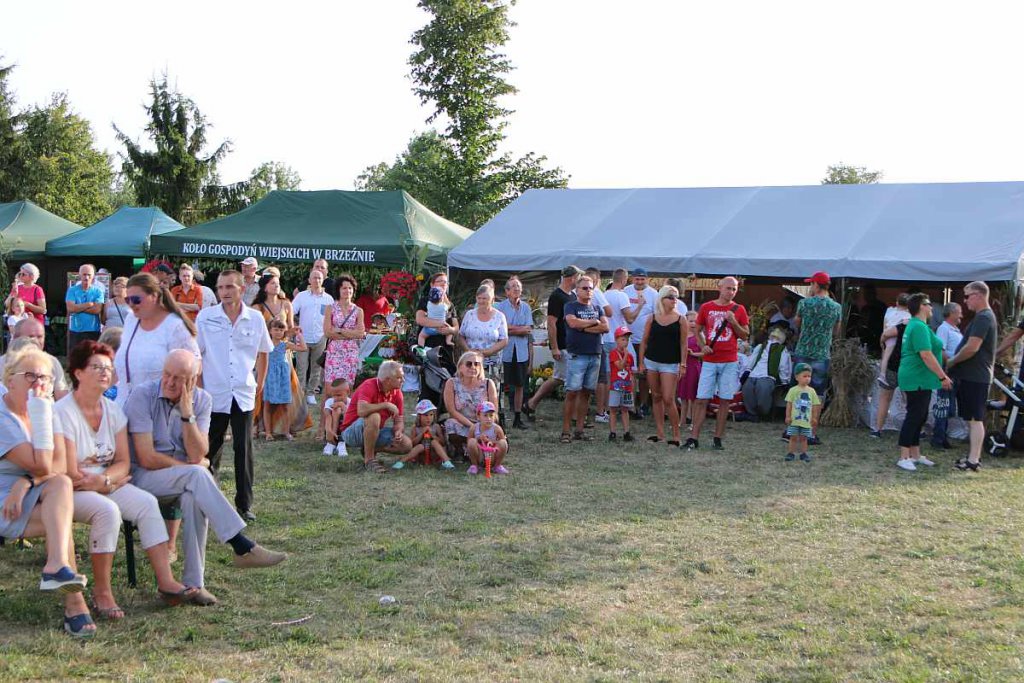 Dożynki w Goworowie [21.08.2022] - zdjęcie #14 - eOstroleka.pl