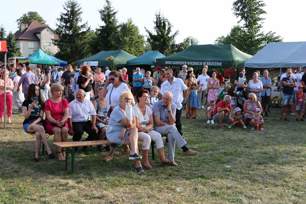 Dożynki w Goworowie [21.08.2022] - zdjęcie #13 - eOstroleka.pl