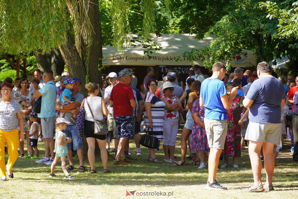 X Zajazd Szlachecki. Dożynki w Troszynie [28.08.2022] - zdjęcie #232 - eOstroleka.pl