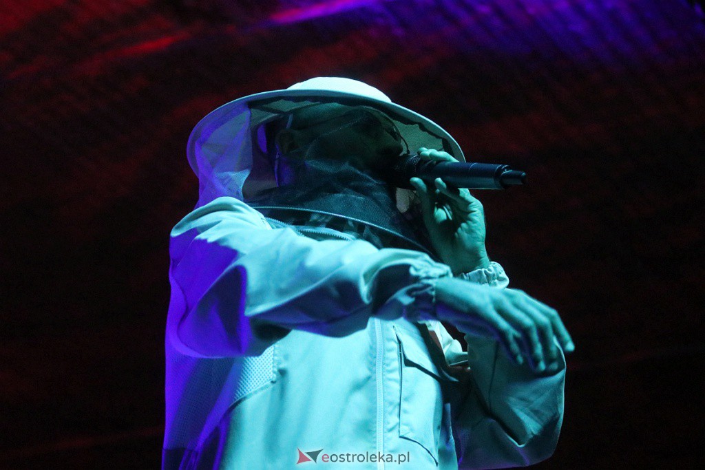 Miodobranie Kurpiowskie 2022 [28.08.2022] - zdjęcie #28 - eOstroleka.pl